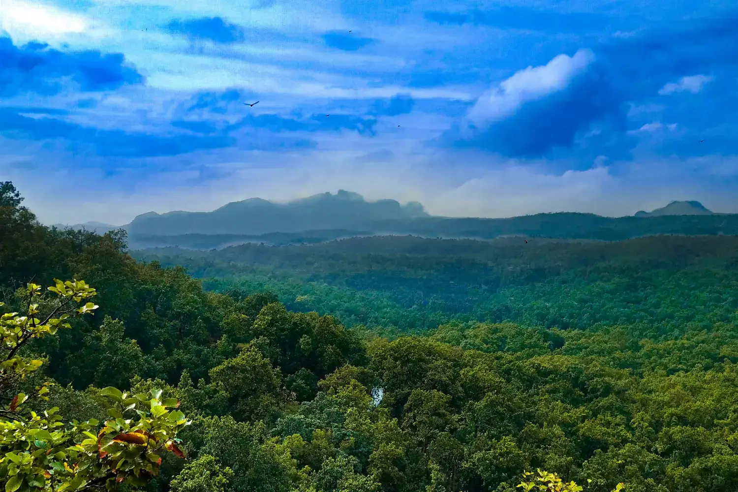 Pachmarhi Madhya Pradesh